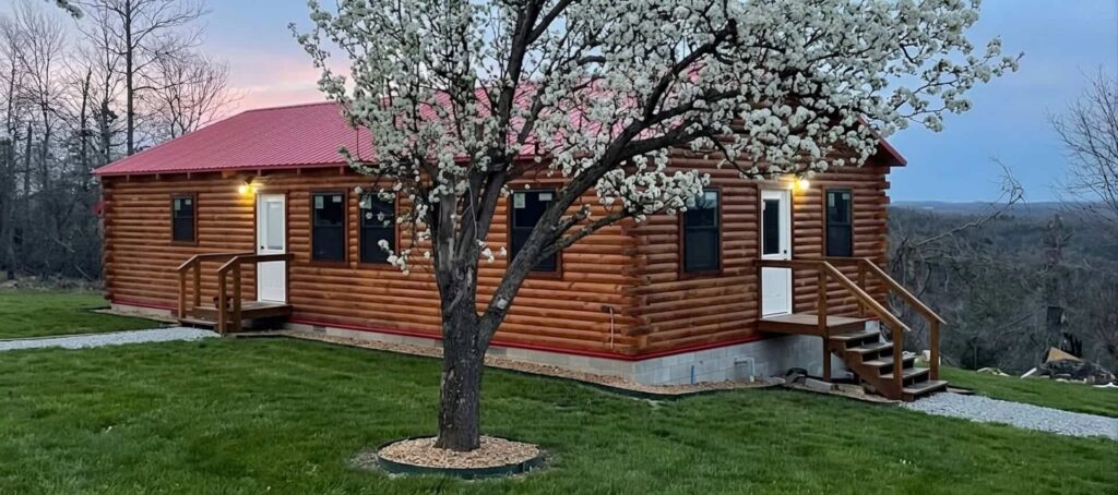 Homestead sales cabin with grass added